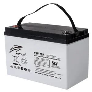 Bateria Ritar DC12-100